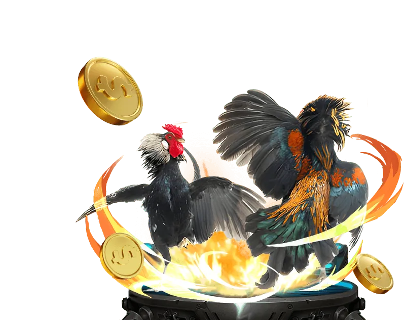 Chọn trò chơi và đặt cược tại Kubet